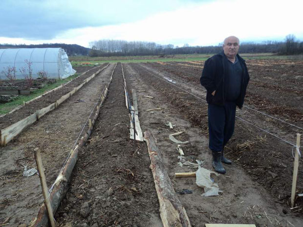 Бивши начелник гаји воћке са три континента